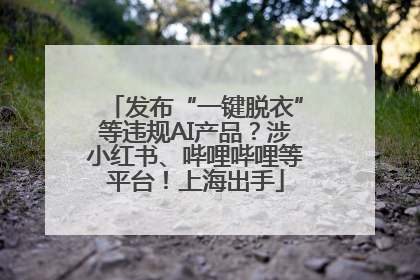 发布“一键脱衣”等违规AI产品？涉小红书、哔哩哔哩等平台！上海出手