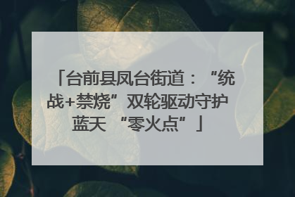台前县凤台街道：“统战+禁烧”双轮驱动守护蓝天 “零火点”