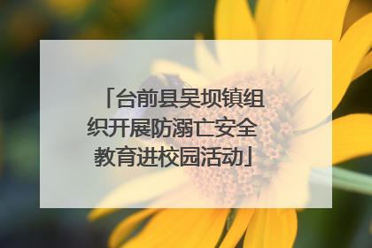 台前县吴坝镇组织开展防溺亡安全教育进校园活动