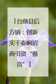 台前县后方镇：创新实干奏响招商引资“强音”