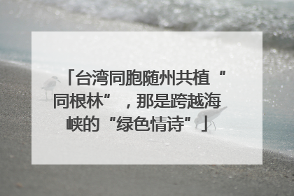台湾同胞随州共植“同根林”，那是跨越海峡的“绿色情诗”