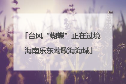 台风“蝴蝶”正在过境海南乐东莺歌海海域