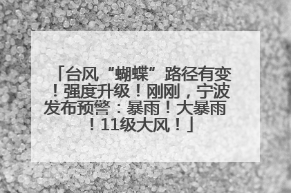 台风“蝴蝶”路径有变！强度升级！刚刚，宁波发布预警：暴雨！大暴雨！11级大风！