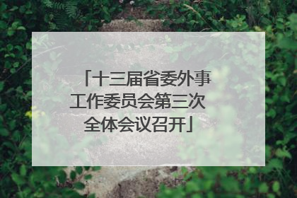 十三届省委外事工作委员会第三次全体会议召开