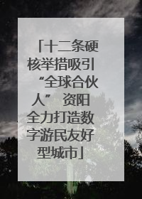 十二条硬核举措吸引“全球合伙人” 资阳全力打造数字游民友好型城市