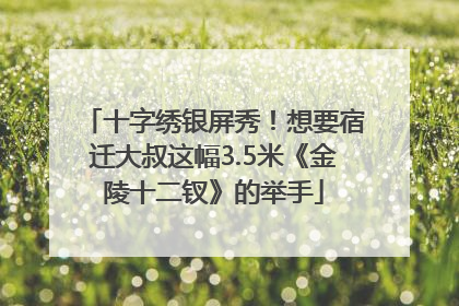 十字绣银屏秀！想要宿迁大叔这幅3.5米《金陵十二钗》的举手