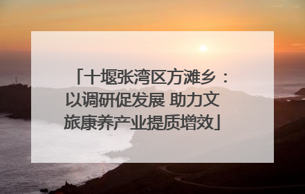 十堰张湾区方滩乡：以调研促发展 助力文旅康养产业提质增效