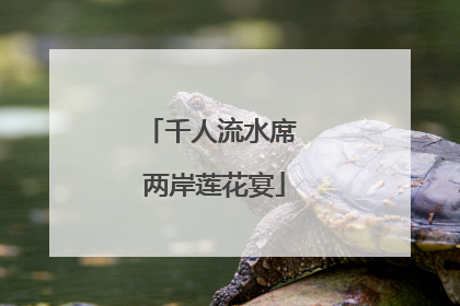 千人流水席 两岸莲花宴