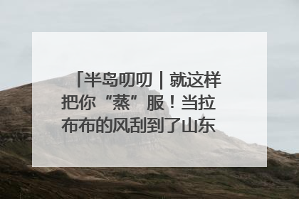 半岛叨叨｜就这样把你“蒸”服！当拉布布的风刮到了山东馒头界……