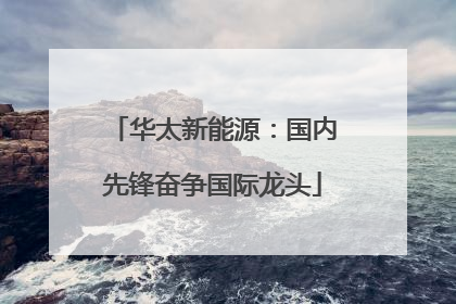 华太新能源：国内先锋奋争国际龙头
