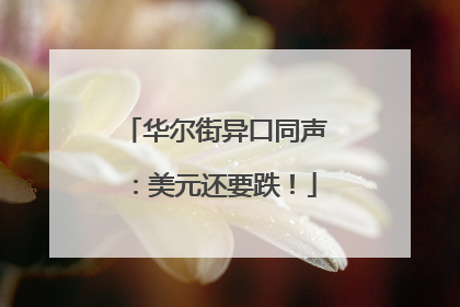 华尔街异口同声：美元还要跌！