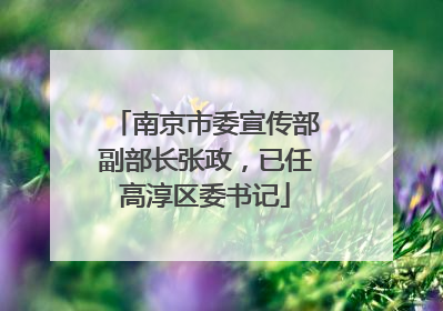南京市委宣传部副部长张政，已任高淳区委书记