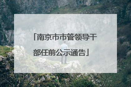 南京市市管领导干部任前公示通告