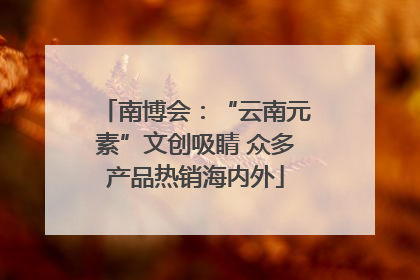 南博会：“云南元素”文创吸睛 众多产品热销海内外