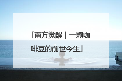 南方觉醒｜一颗咖啡豆的前世今生