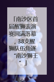 南沙区首届醒狮表演赛圆满落幕，38支醒狮队伍角逐“南沙狮王”