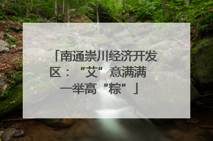南通崇川经济开发区：“艾”意满满 一举高“粽”