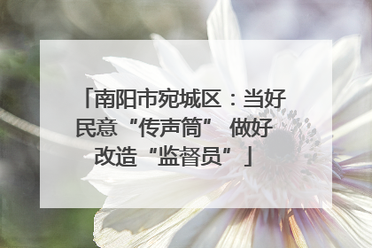 南阳市宛城区：当好民意“传声筒” 做好改造“监督员”
