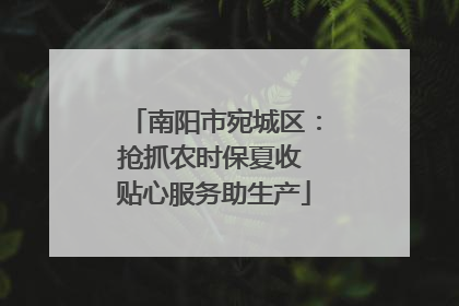 南阳市宛城区：抢抓农时保夏收 贴心服务助生产