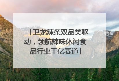 卫龙辣条双品类驱动，领航辣味休闲食品行业千亿赛道