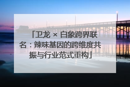 卫龙 × 白象跨界联名：辣味基因的跨维度共振与行业范式重构