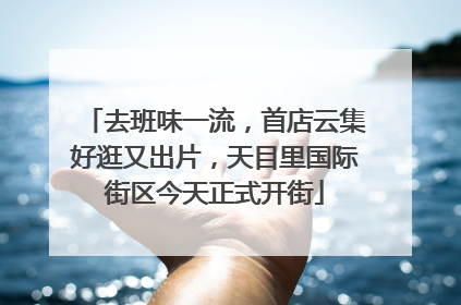 去班味一流，首店云集好逛又出片，天目里国际街区今天正式开街