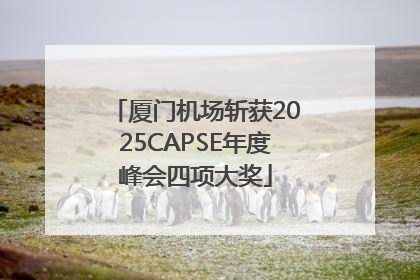 厦门机场斩获2025CAPSE年度峰会四项大奖