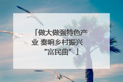 做大做强特色产业 奏响乡村振兴“富民曲”