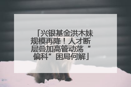 兴银基金洪木妹规模再降！人才断层叠加高管动荡“偏科”困局何解