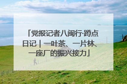 党报记者八闽行·蹲点日记｜一叶茶、一片林、一座厂的振兴接力