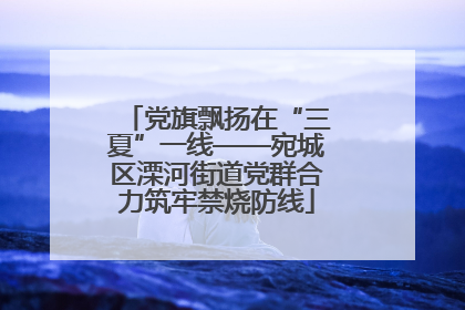 党旗飘扬在“三夏”一线——宛城区溧河街道党群合力筑牢禁烧防线