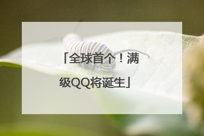 全球首个！满级QQ将诞生