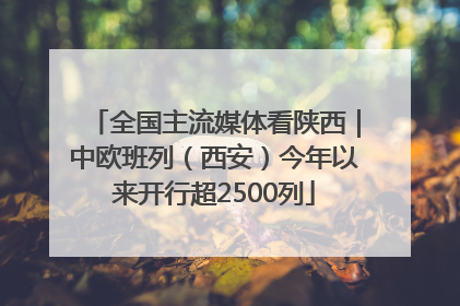 全国主流媒体看陕西｜中欧班列（西安）今年以来开行超2500列