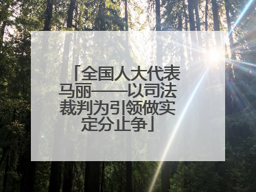 全国人大代表马丽——以司法裁判为引领做实定分止争