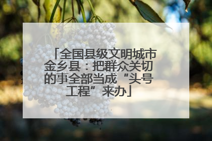 全国县级文明城市金乡县：把群众关切的事全部当成“头号工程”来办