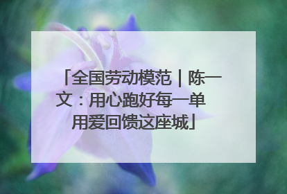 全国劳动模范｜陈一文：用心跑好每一单 用爱回馈这座城