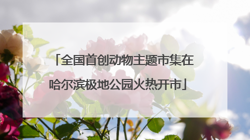 全国首创动物主题市集在哈尔滨极地公园火热开市