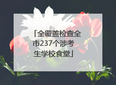 全覆盖检查全市237个涉考生学校食堂
