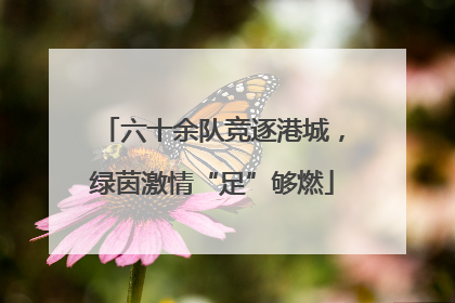 六十余队竞逐港城，绿茵激情“足”够燃