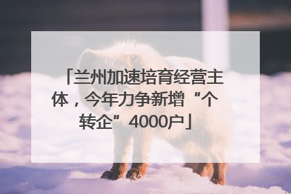 兰州加速培育经营主体，今年力争新增“个转企”4000户