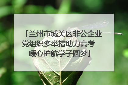 兰州市城关区非公企业党组织多举措助力高考 暖心护航学子圆梦