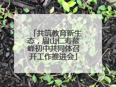 共筑教育新生态，眉山仁寿鳌峰初中共同体召开工作推进会