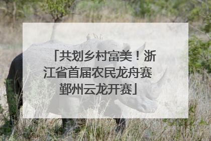 共划乡村富美！浙江省首届农民龙舟赛鄞州云龙开赛