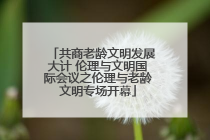 共商老龄文明发展大计 伦理与文明国际会议之伦理与老龄文明专场开幕