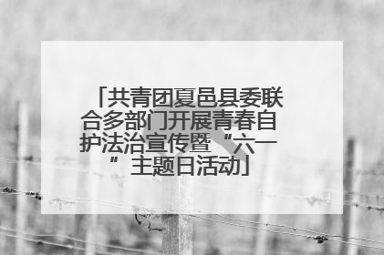 共青团夏邑县委联合多部门开展青春自护法治宣传暨“六一”主题日活动