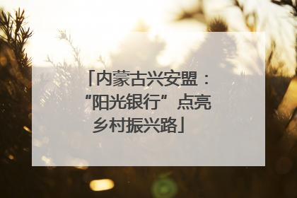 内蒙古兴安盟：“阳光银行”点亮乡村振兴路
