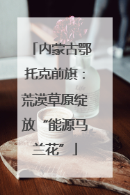内蒙古鄂托克前旗：荒漠草原绽放“能源马兰花”