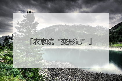 农家院“变形记”