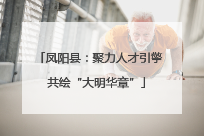 凤阳县：聚力人才引擎 共绘“大明华章”