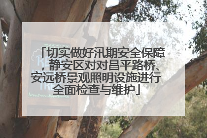 切实做好汛期安全保障，静安区对对昌平路桥、安远桥景观照明设施进行全面检查与维护